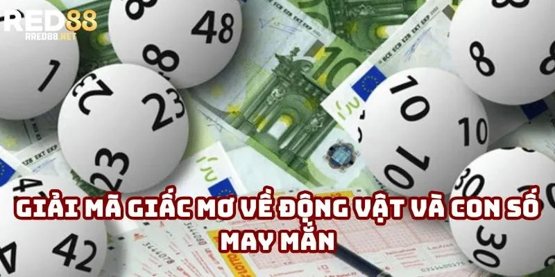 Giải mã giấc mơ về động vật và con số may mắn
